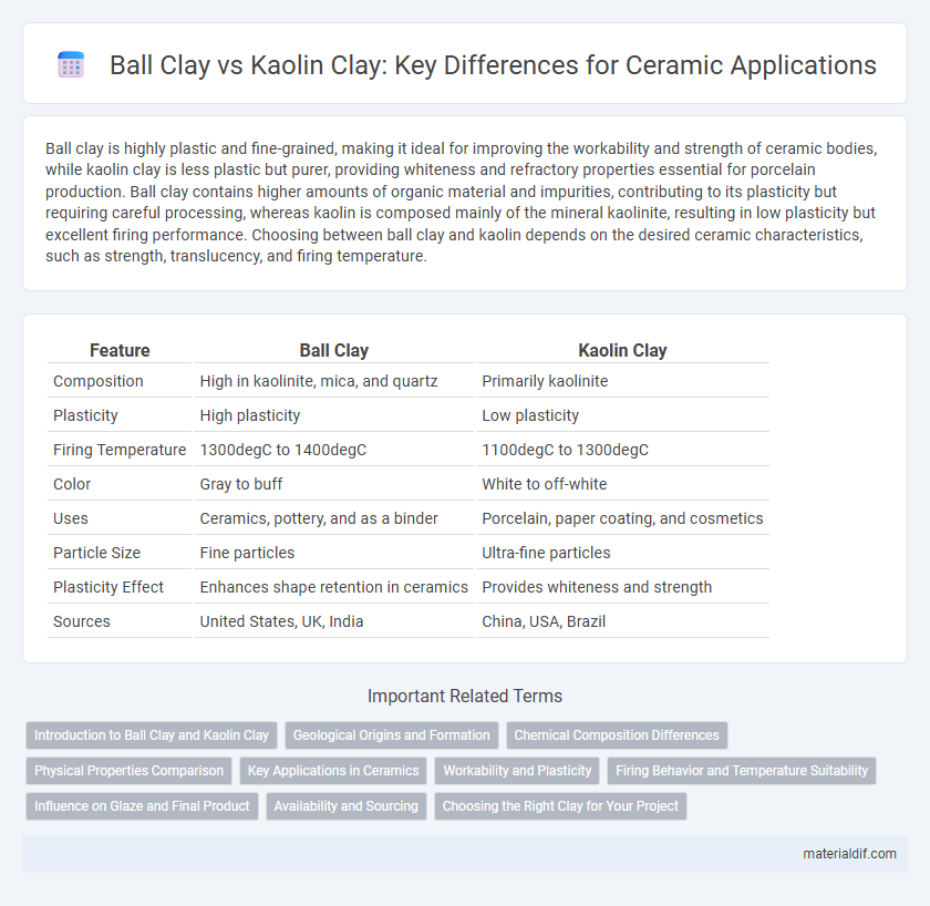 Ball Clay vs Kaolin Clay: Key Differences for Ceramic Applications