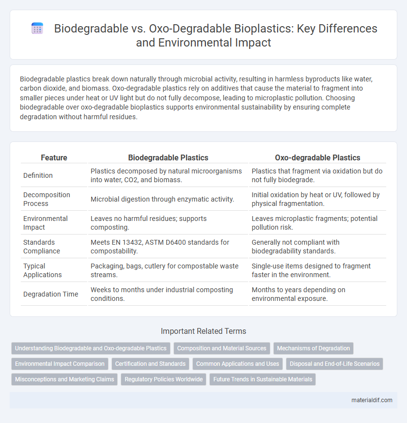 Biodegradable vs. Oxo-Degradable Bioplastics: Key Differences and Environmental Impact