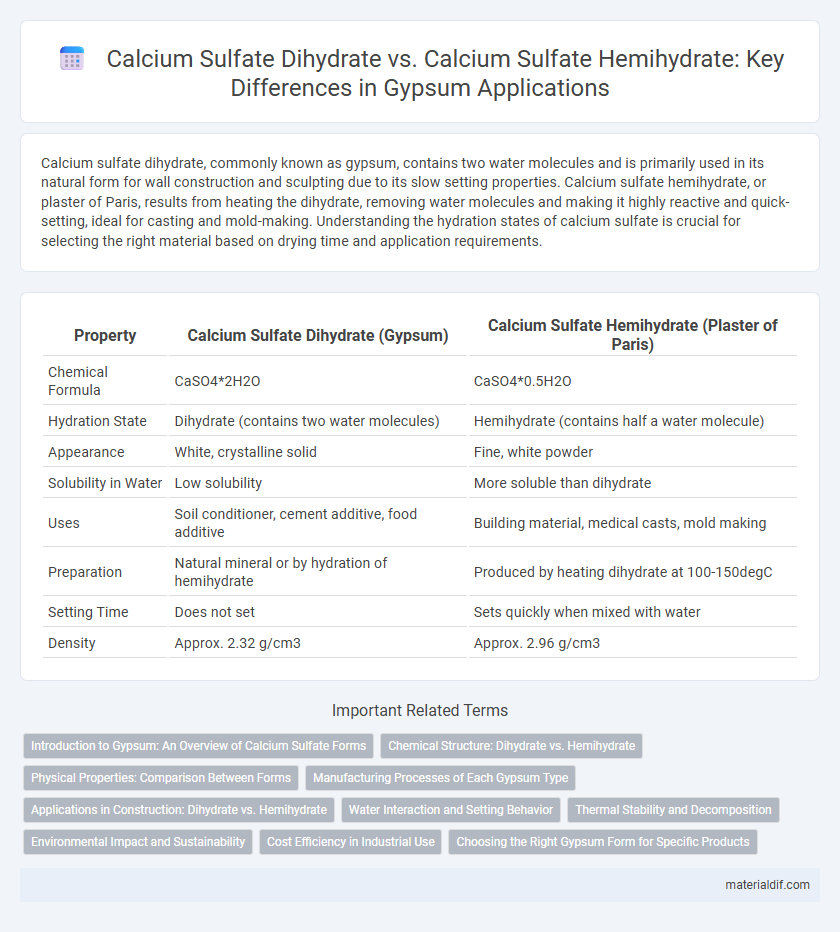 Calcium Sulfate Dihydrate vs. Calcium Sulfate Hemihydrate: Key Differences in Gypsum Applications