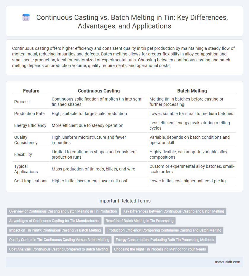 Continuous Casting vs. Batch Melting in Tin: Key Differences, Advantages, and Applications