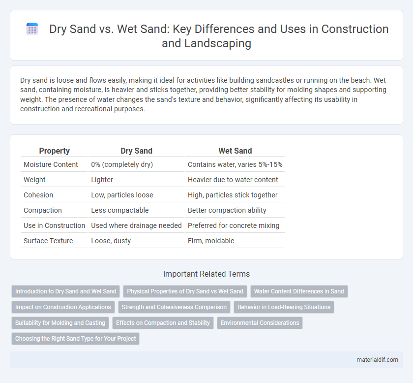 Dry Sand vs. Wet Sand: Key Differences and Uses in Construction and Landscaping