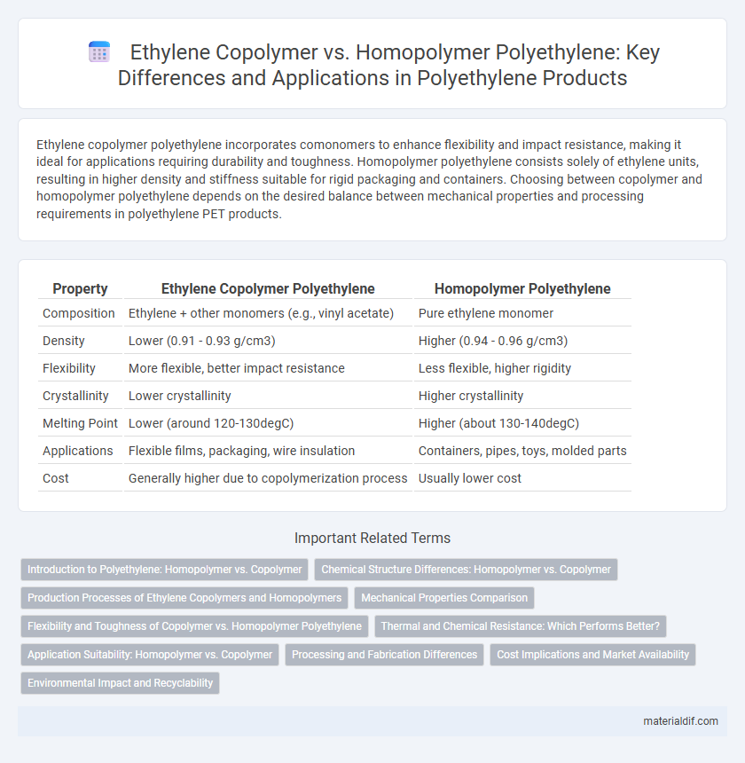 Ethylene Copolymer vs. Homopolymer Polyethylene: Key Differences and Applications in Polyethylene Products