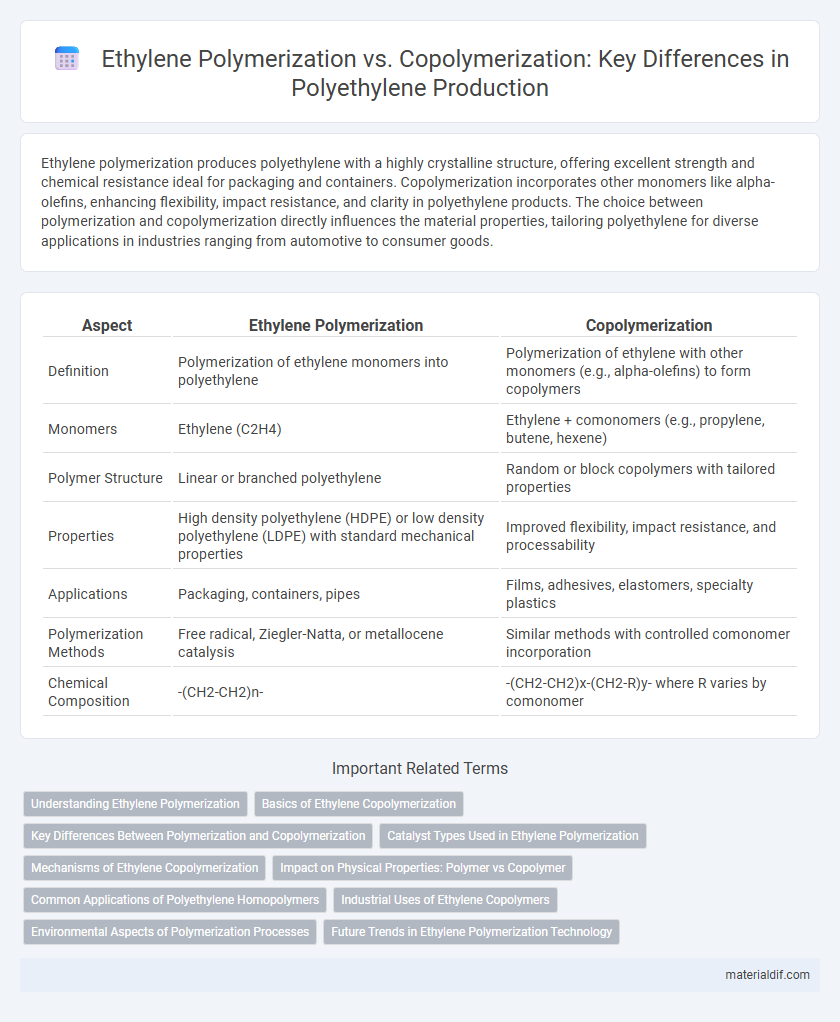 Ethylene Polymerization vs. Copolymerization: Key Differences in Polyethylene Production