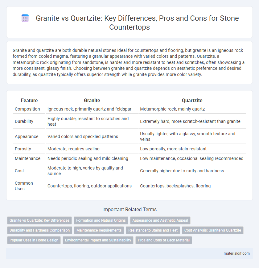 Granite vs Quartzite: Key Differences, Pros and Cons for Stone Countertops