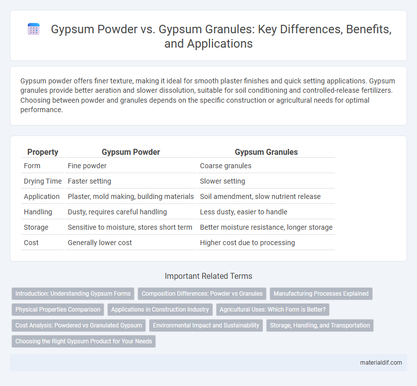 Gypsum Powder vs. Gypsum Granules: Key Differences, Benefits, and Applications
