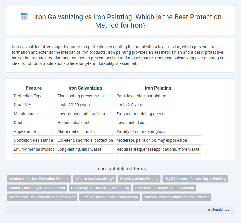 Iron Galvanizing vs Iron Painting: Which is the Best Protection Method for Iron?