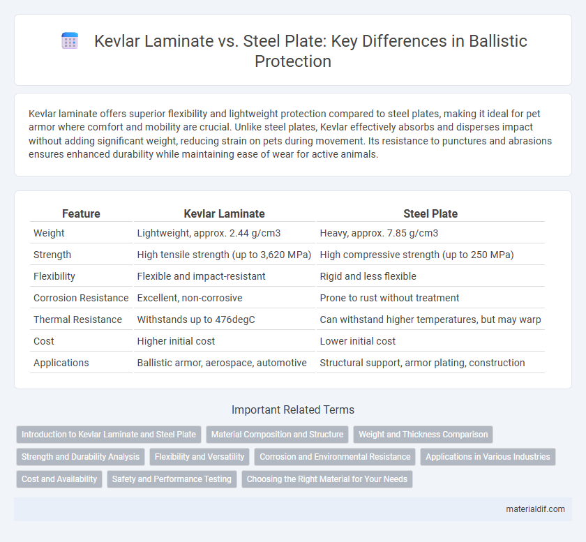 Kevlar Laminate vs. Steel Plate: Key Differences in Ballistic Protection