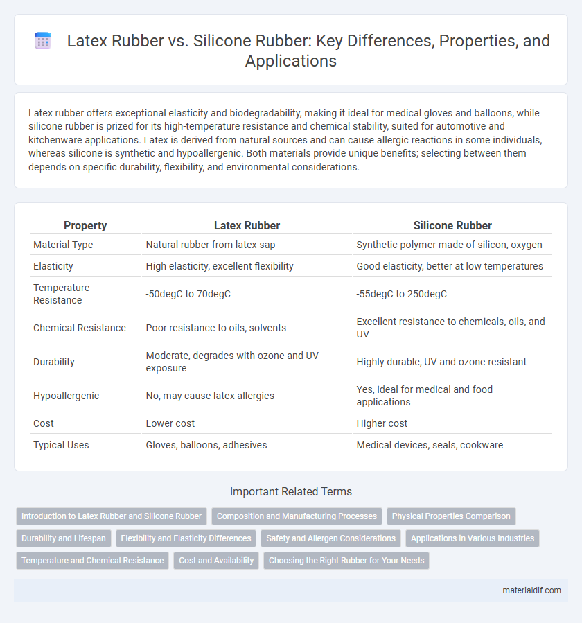Latex Rubber vs. Silicone Rubber: Key Differences, Properties, and Applications