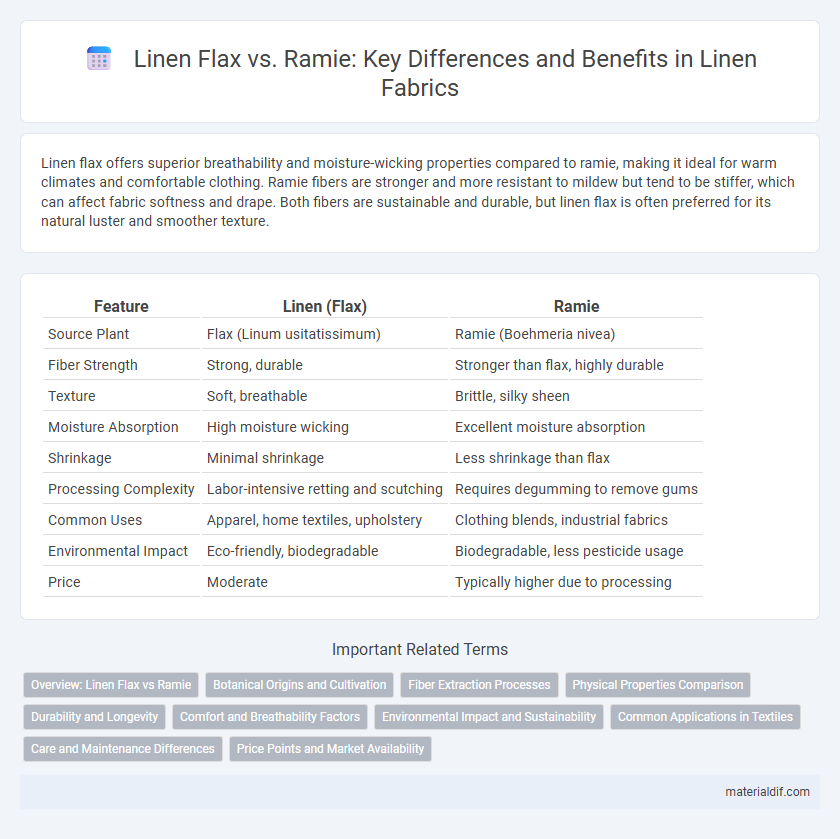 Linen Flax vs. Ramie: Key Differences and Benefits in Linen Fabrics