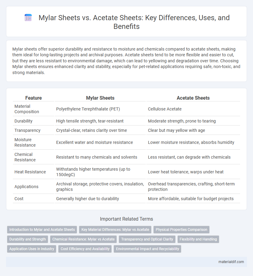 Mylar Sheets vs. Acetate Sheets: Key Differences, Uses, and Benefits