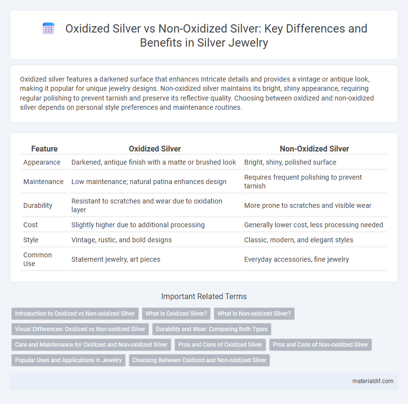 Oxidized Silver vs Non-Oxidized Silver: Key Differences and Benefits in Silver Jewelry
