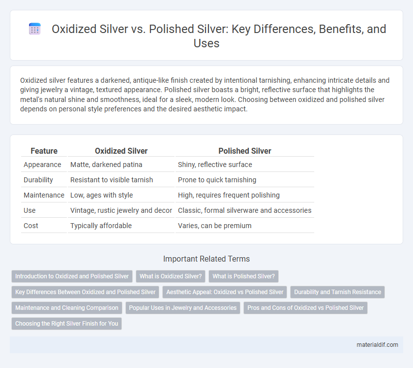 Oxidized Silver vs. Polished Silver: Key Differences, Benefits, and Uses