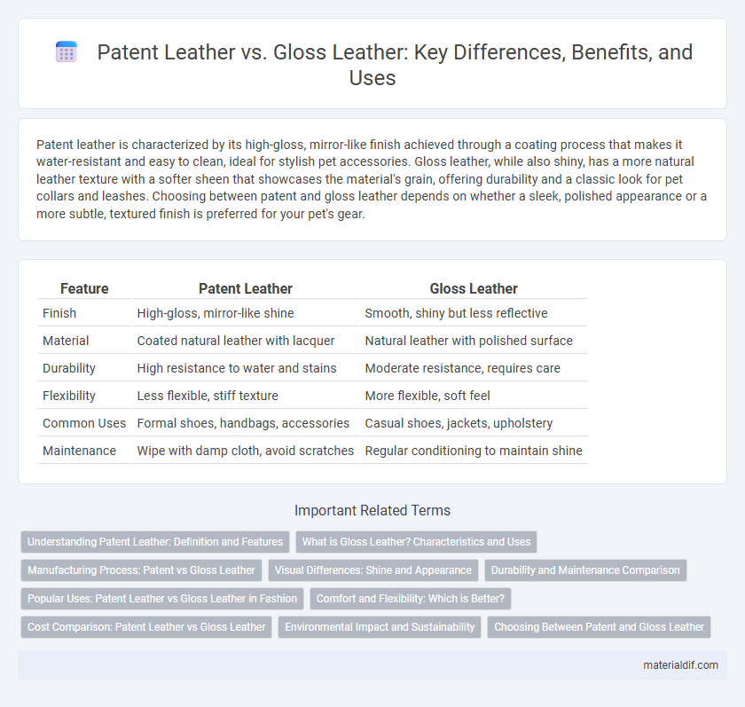 Patent Leather vs. Gloss Leather: Key Differences, Benefits, and Uses
