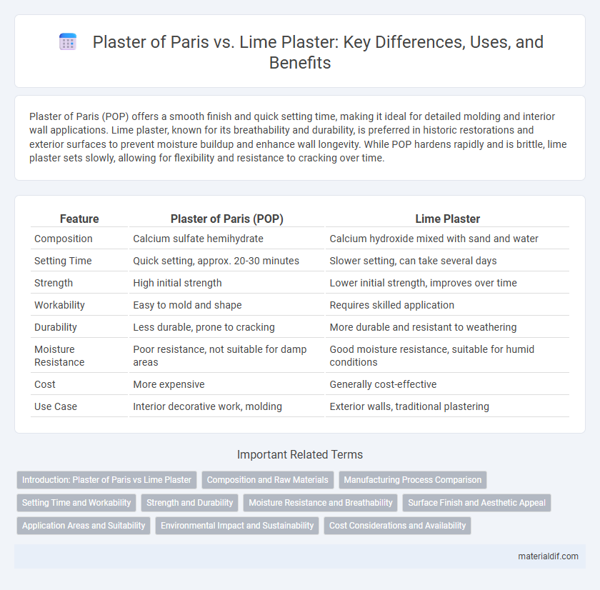 Plaster of Paris vs. Lime Plaster: Key Differences, Uses, and Benefits