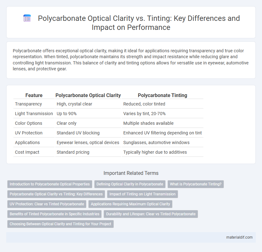 Polycarbonate Optical Clarity vs. Tinting: Key Differences and Impact on Performance