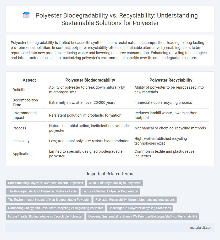 Polyester Biodegradability vs. Recyclability: Understanding Sustainable Solutions for Polyester