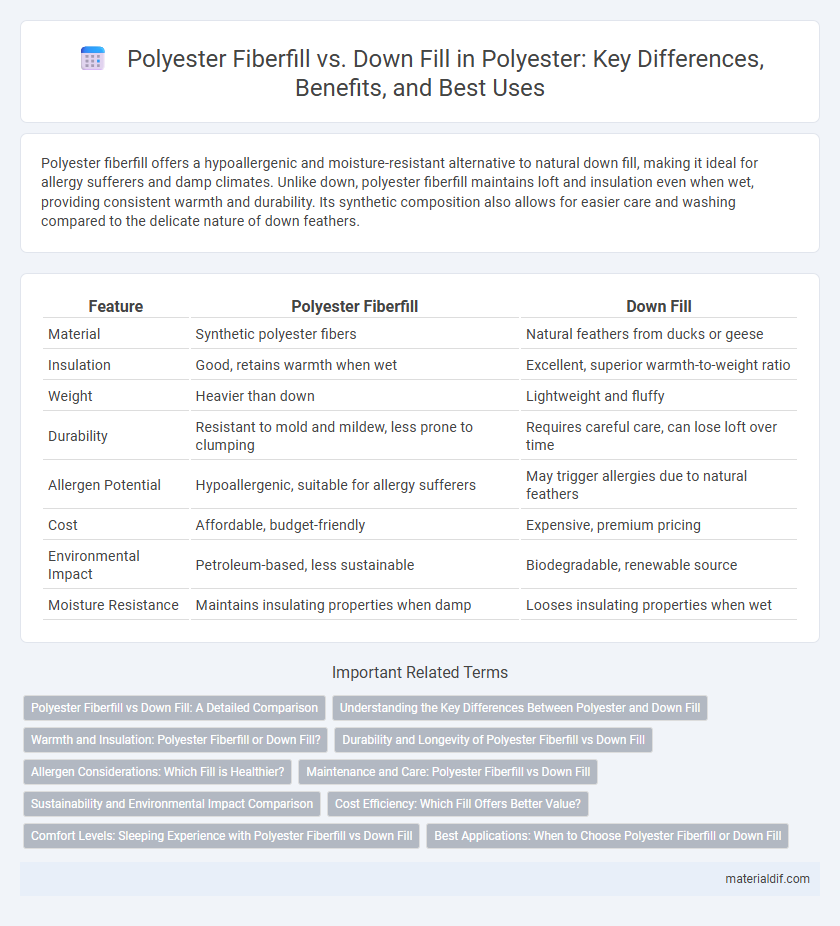 Polyester Fiberfill vs. Down Fill in Polyester: Key Differences, Benefits, and Best Uses