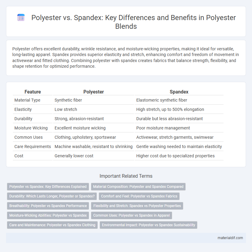 Polyester vs. Spandex: Key Differences and Benefits in Polyester Blends