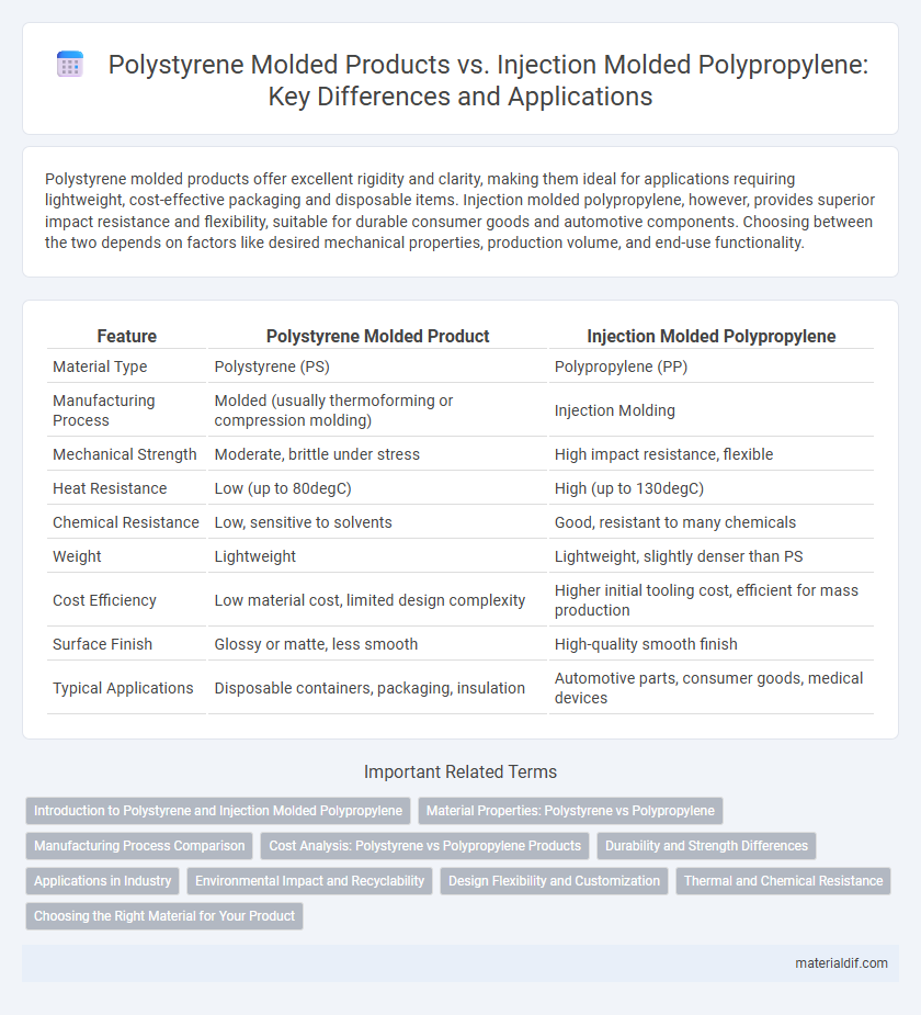 Polystyrene Molded Products vs. Injection Molded Polypropylene: Key Differences and Applications