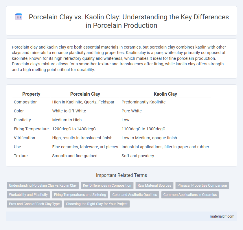Porcelain Clay vs. Kaolin Clay: Understanding the Key Differences in Porcelain Production