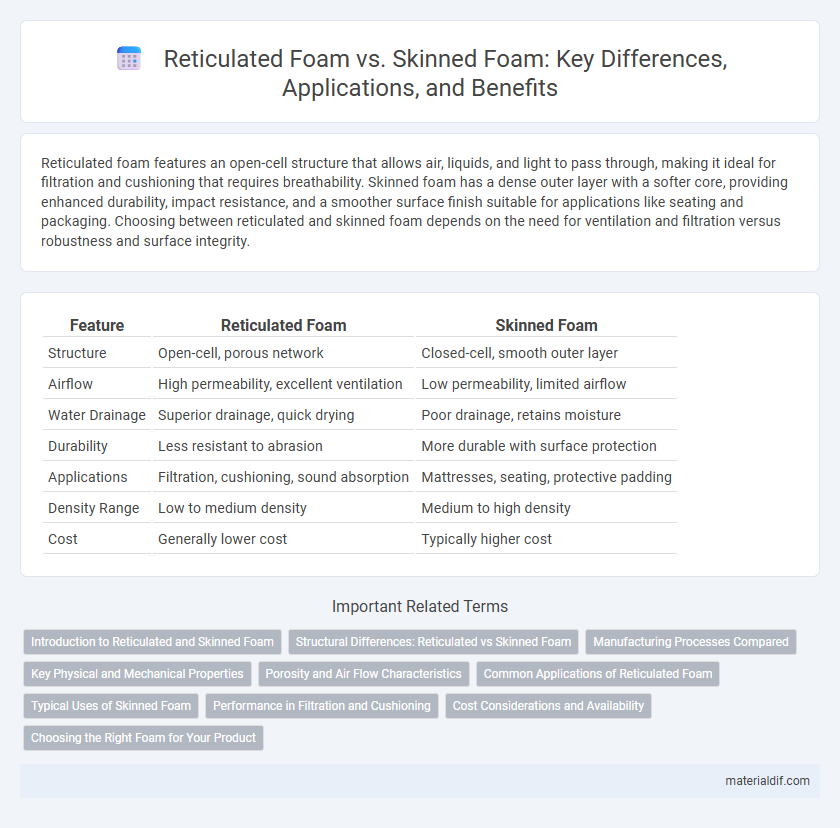 Reticulated Foam vs. Skinned Foam: Key Differences, Applications, and Benefits