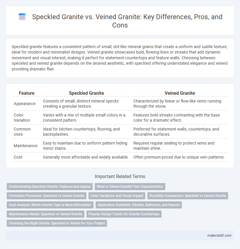 Speckled Granite vs. Veined Granite: Key Differences, Pros, and Cons