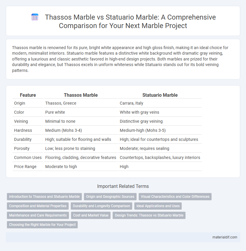 Thassos Marble vs Statuario Marble: A Comprehensive Comparison for Your Next Marble Project