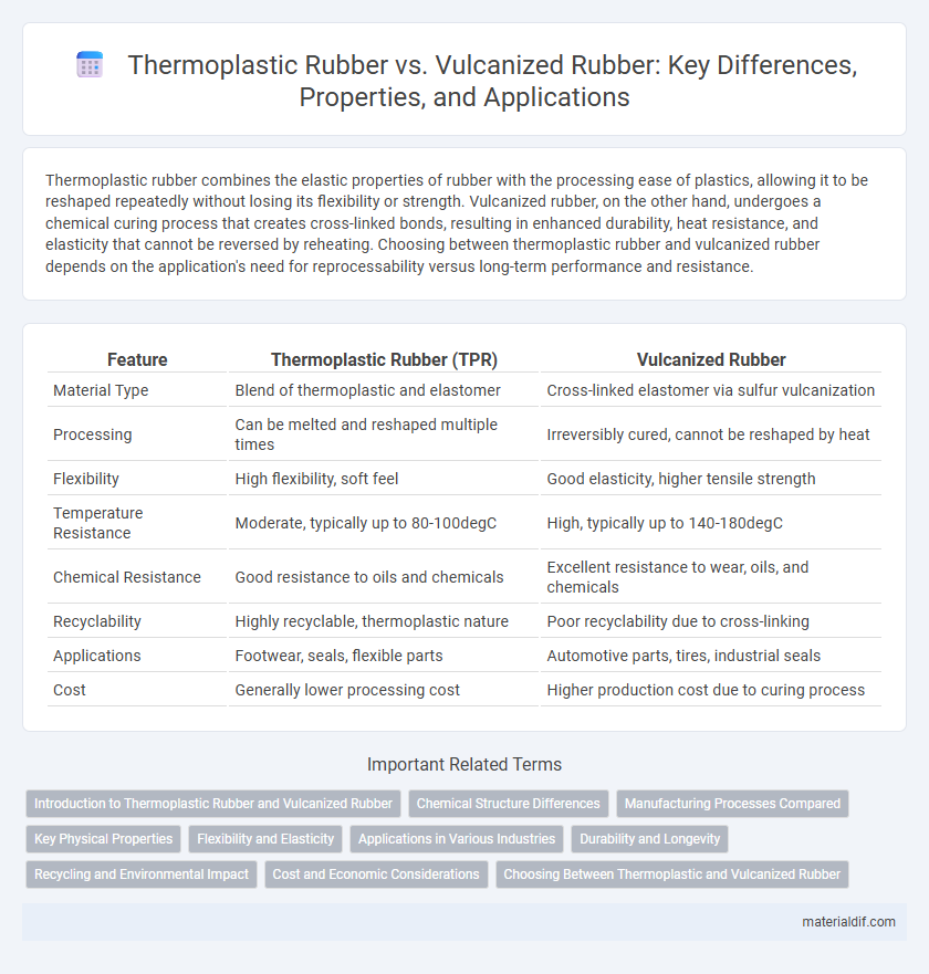 Thermoplastic Rubber vs. Vulcanized Rubber: Key Differences, Properties, and Applications