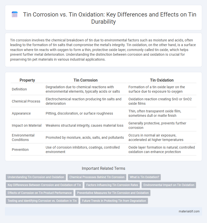 Tin Corrosion vs. Tin Oxidation: Key Differences and Effects on Tin Durability