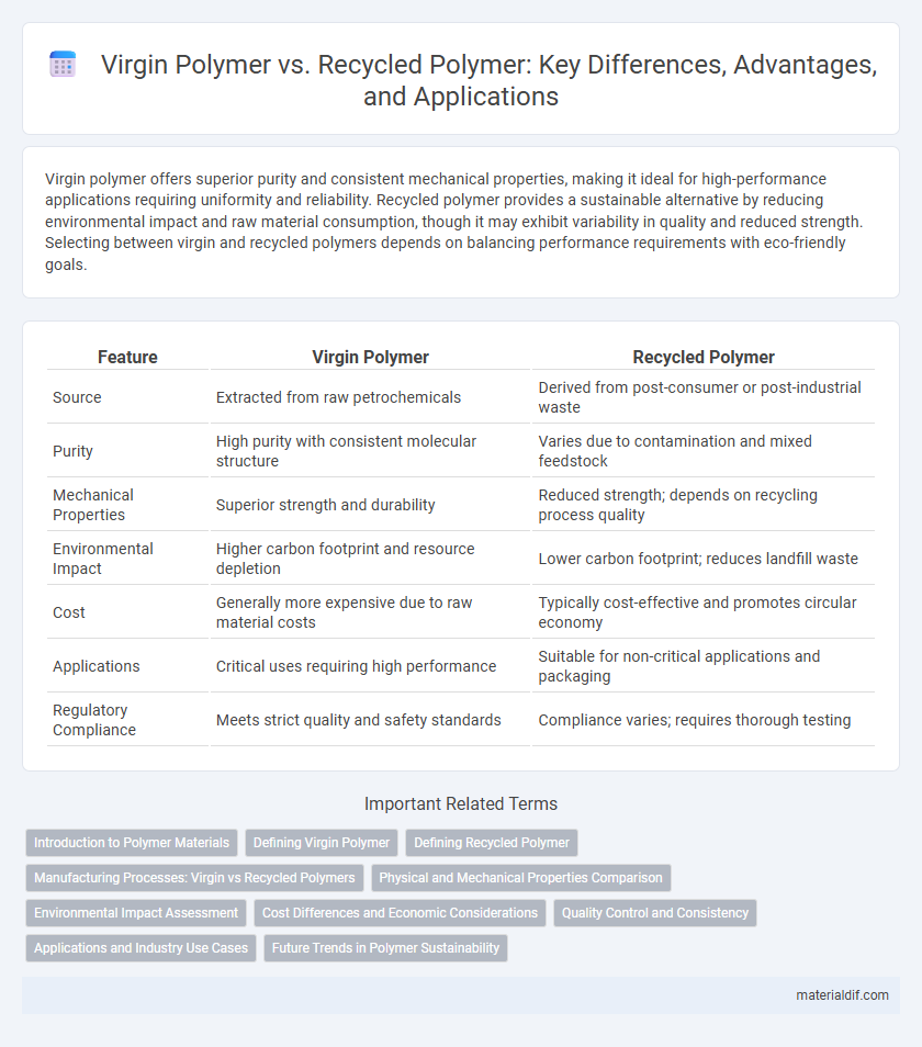 Virgin Polymer vs. Recycled Polymer: Key Differences, Advantages, and Applications