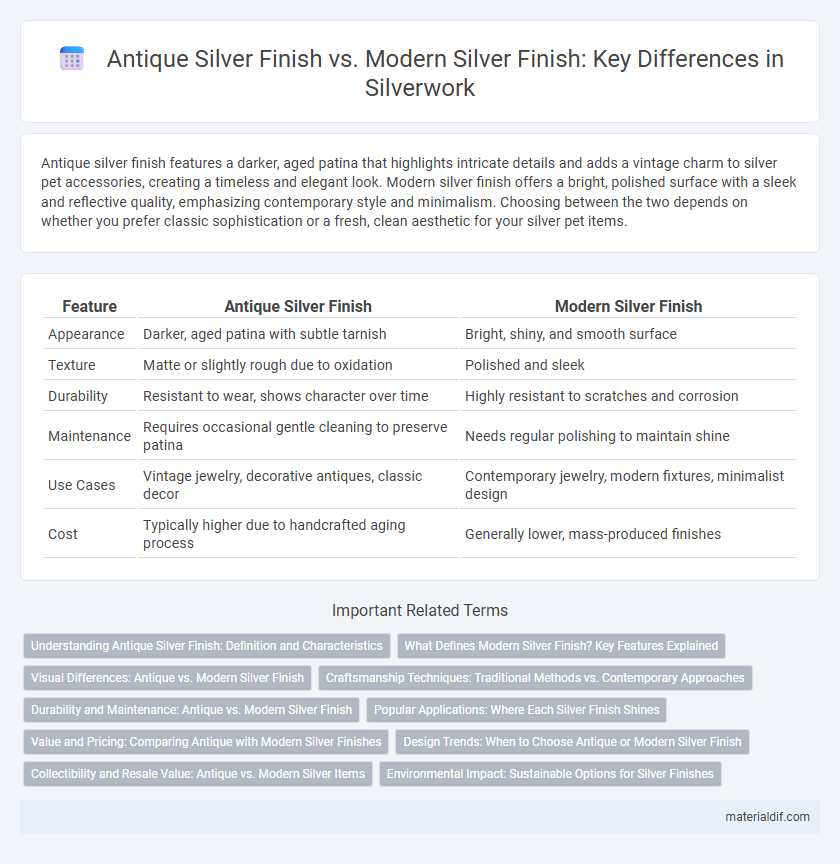 Antique Silver Finish vs. Modern Silver Finish: Key Differences in Silverwork