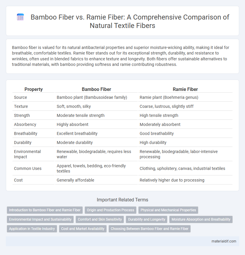 Bamboo Fiber vs. Ramie Fiber: A Comprehensive Comparison of Natural Textile Fibers