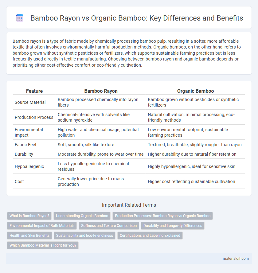 Bamboo Rayon vs Organic Bamboo: Key Differences and Benefits