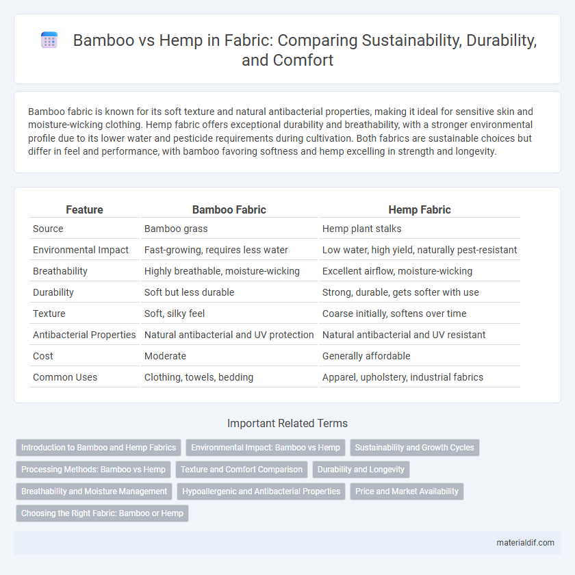 Bamboo vs Hemp in Fabric: Comparing Sustainability, Durability, and Comfort
