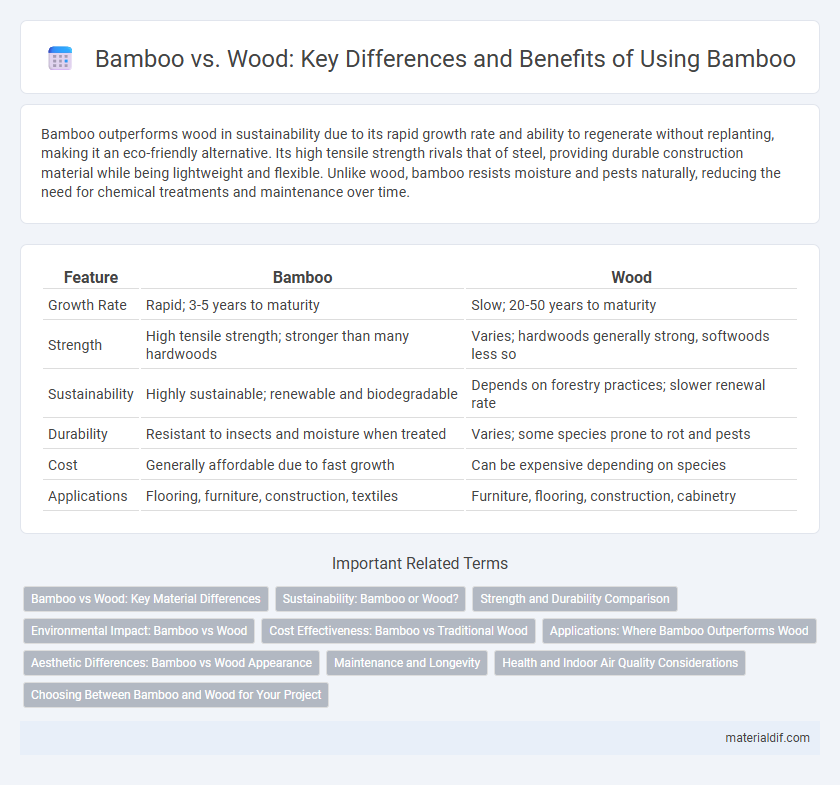 Bamboo vs. Wood: Key Differences and Benefits of Using Bamboo