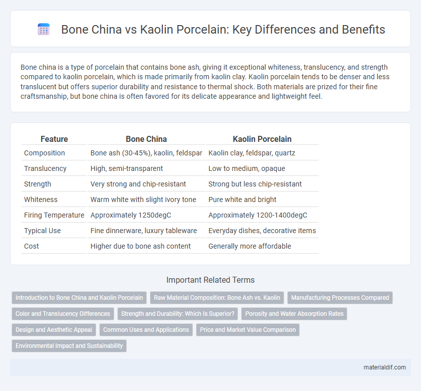Bone China vs Kaolin Porcelain: Key Differences and Benefits