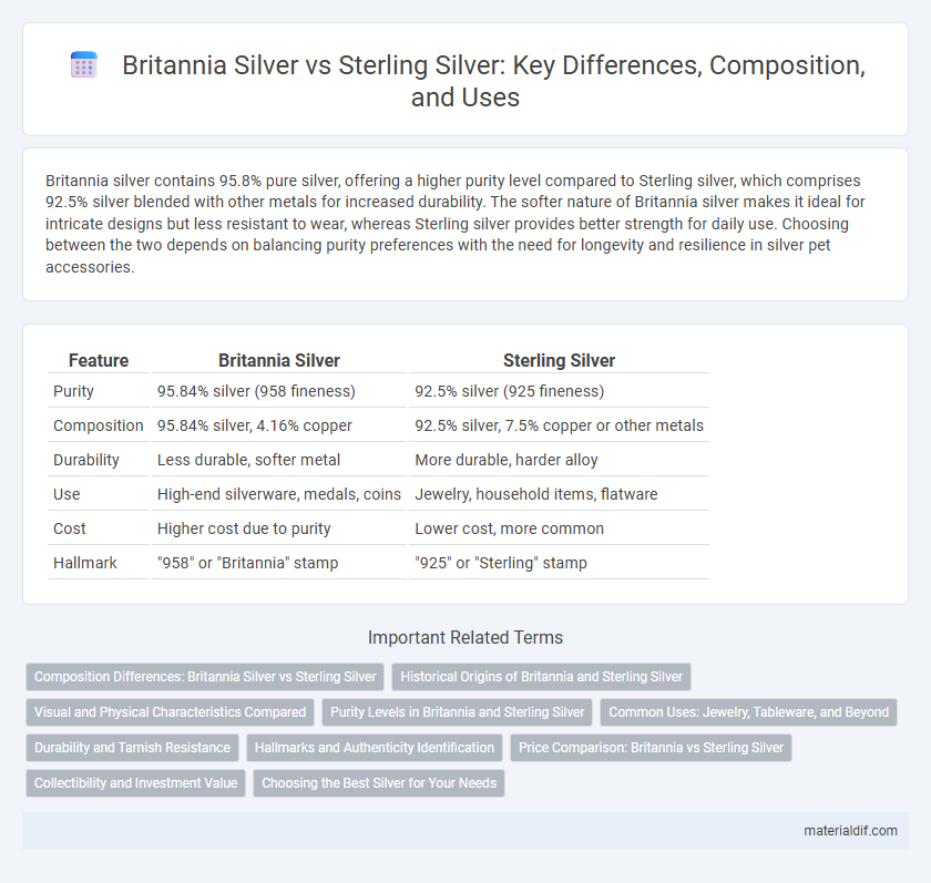 Britannia Silver vs Sterling Silver: Key Differences, Composition, and Uses