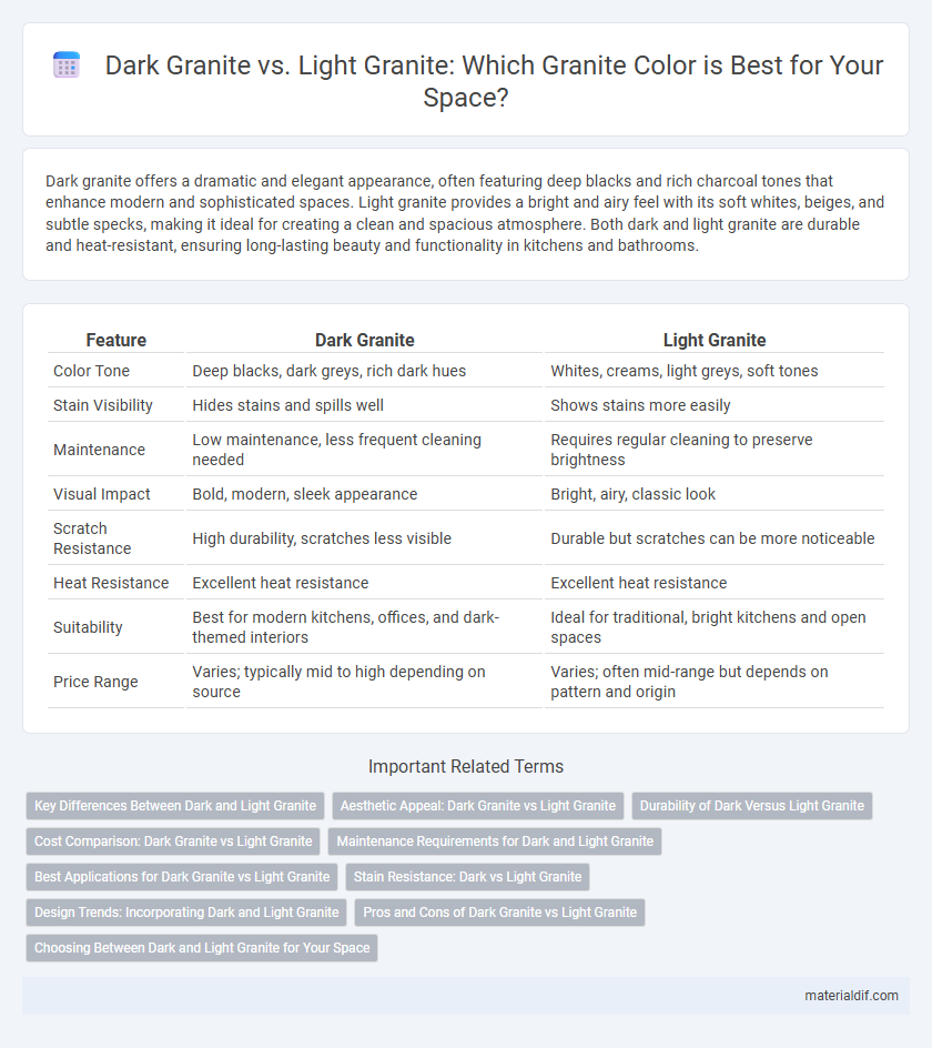 Dark Granite vs. Light Granite: Which Granite Color is Best for Your Space?