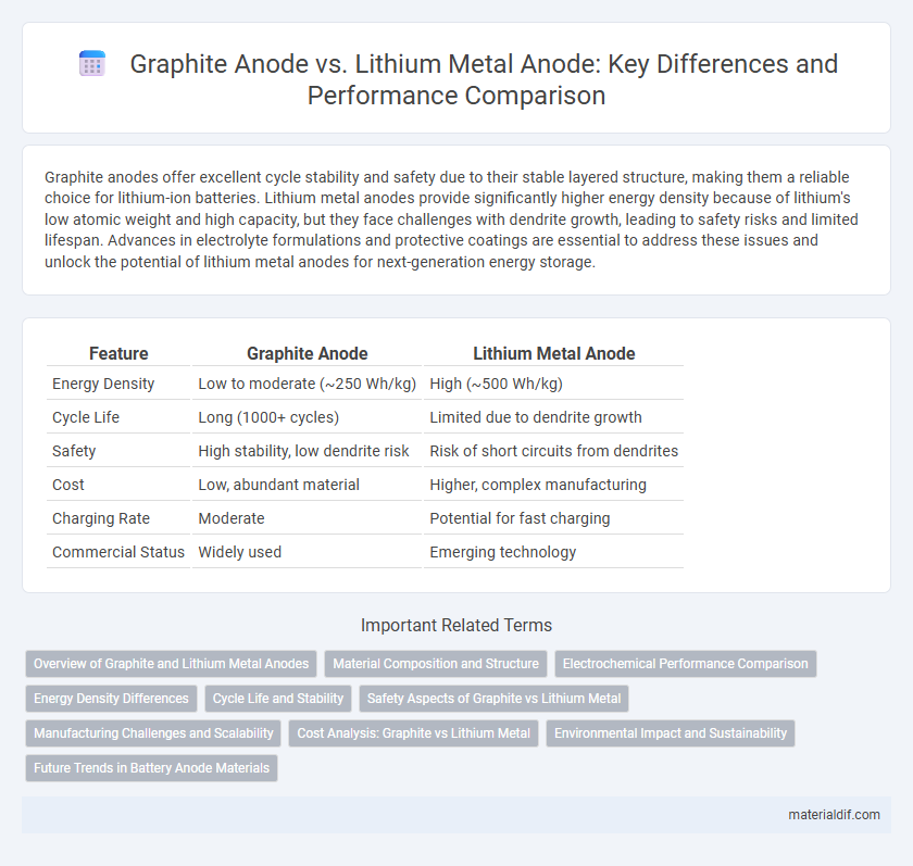 Graphite Anode vs. Lithium Metal Anode: Key Differences and Performance Comparison