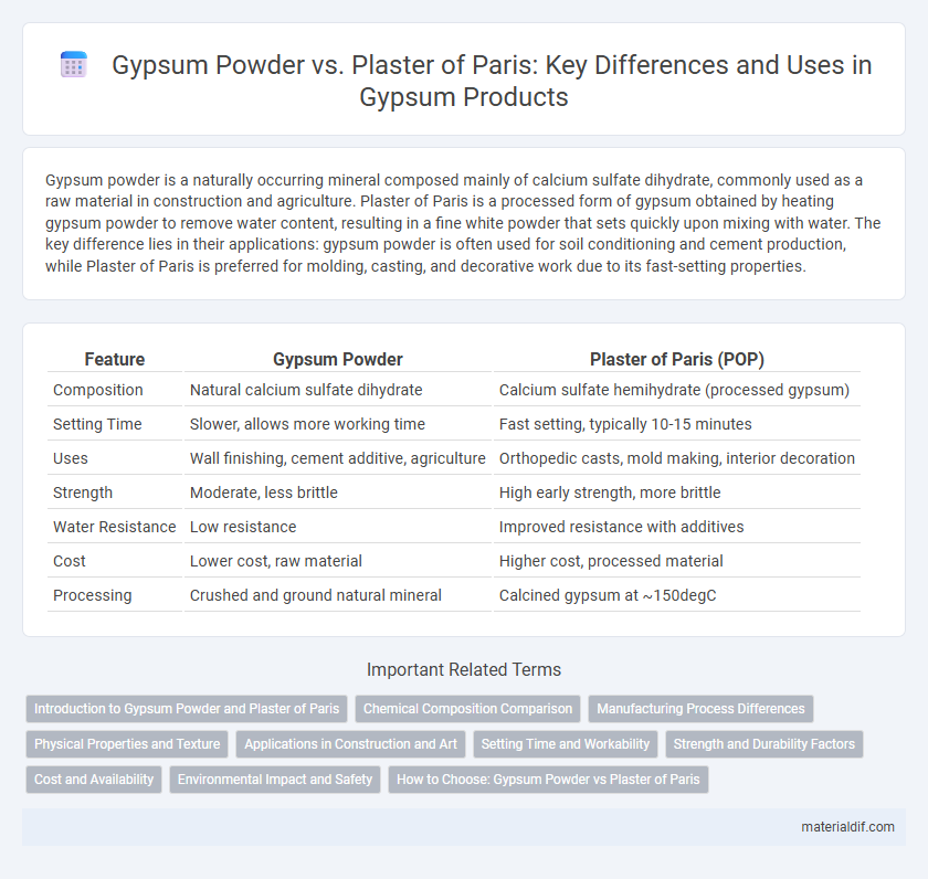 Gypsum Powder vs. Plaster of Paris: Key Differences and Uses in Gypsum Products