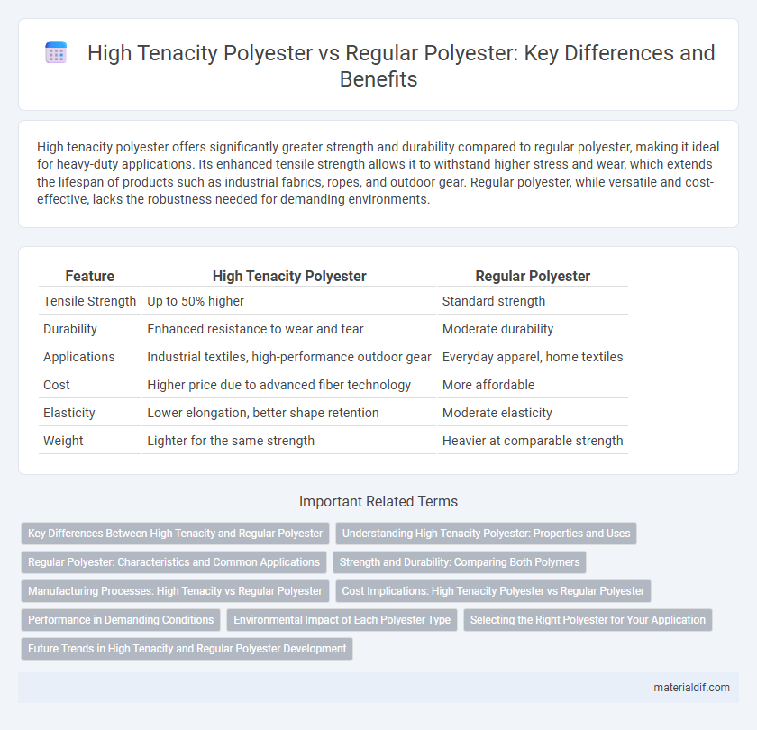 High Tenacity Polyester vs Regular Polyester: Key Differences and Benefits
