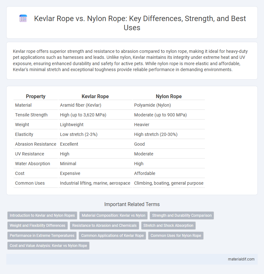 Kevlar Rope vs. Nylon Rope: Key Differences, Strength, and Best Uses