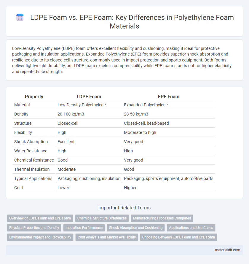 LDPE Foam vs. EPE Foam: Key Differences in Polyethylene Foam Materials