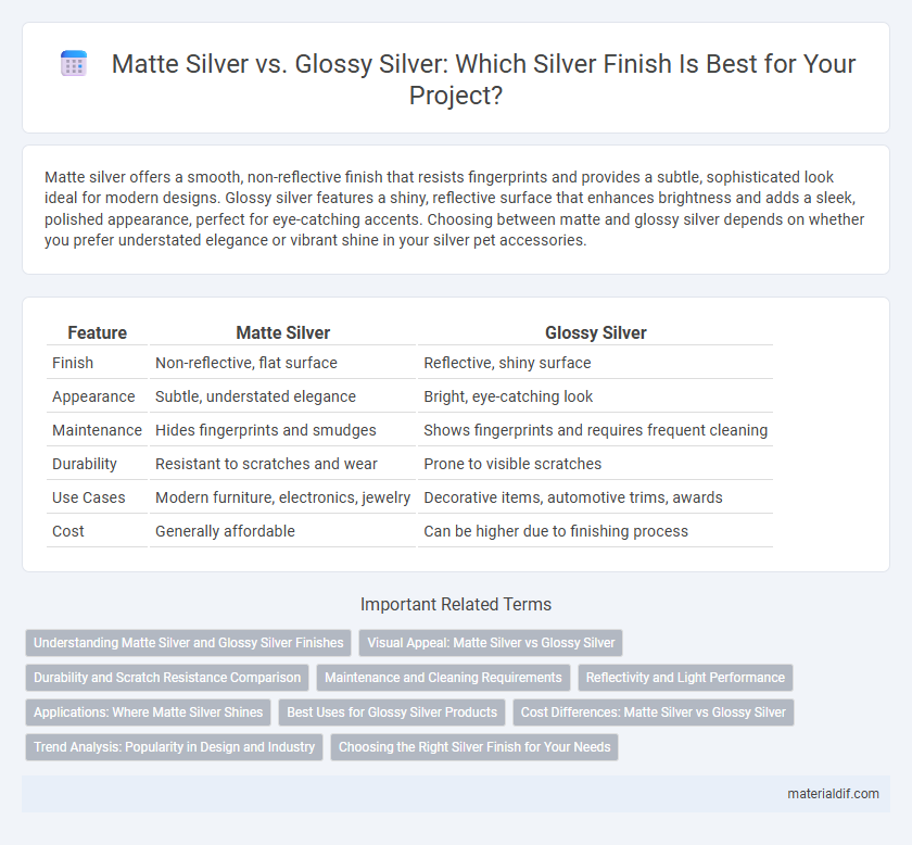 Matte Silver vs. Glossy Silver: Which Silver Finish Is Best for Your Project?