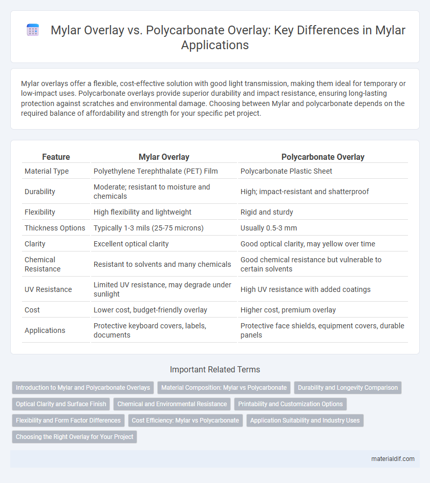 Mylar Overlay vs. Polycarbonate Overlay: Key Differences in Mylar Applications