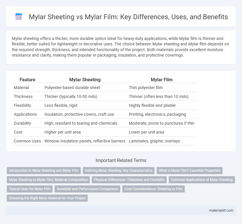 Mylar Sheeting vs Mylar Film: Key Differences, Uses, and Benefits