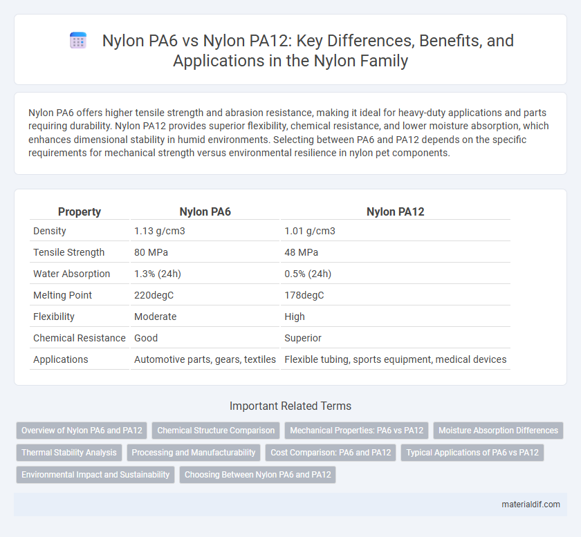 Nylon PA6 vs Nylon PA12: Key Differences, Benefits, and Applications in the Nylon Family
