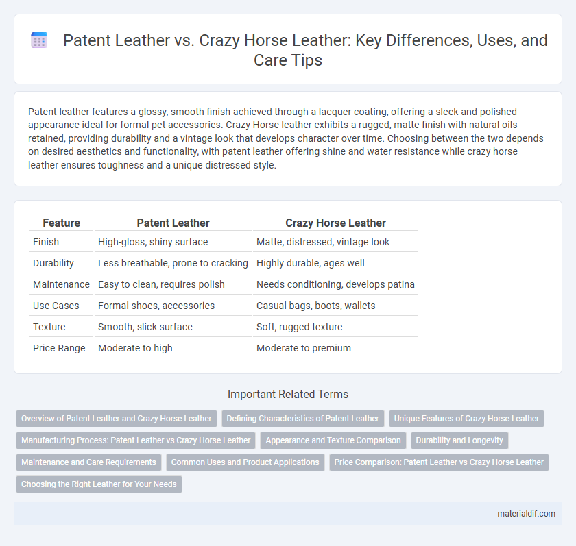 Patent Leather vs. Crazy Horse Leather: Key Differences, Uses, and Care Tips