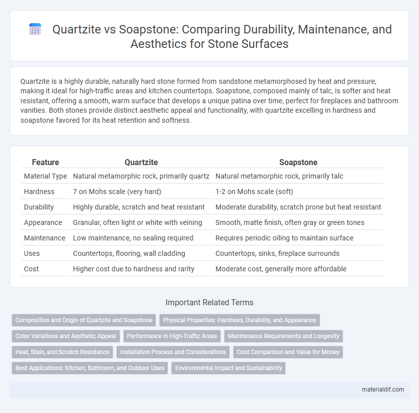 Quartzite vs Soapstone: Comparing Durability, Maintenance, and Aesthetics for Stone Surfaces