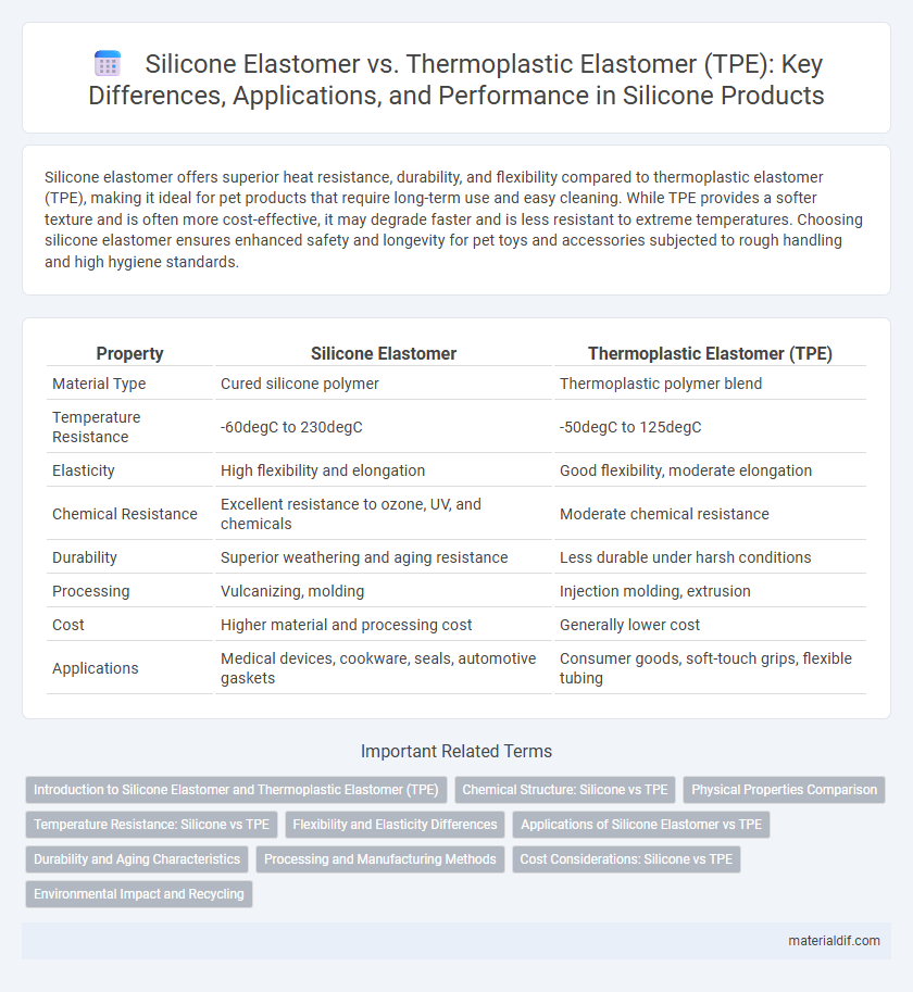 Silicone Elastomer vs. Thermoplastic Elastomer (TPE): Key Differences, Applications, and Performance in Silicone Products